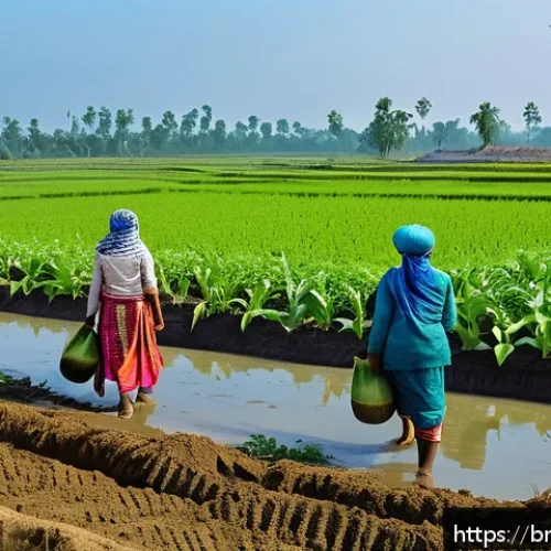 에코크리에이션의 환경적 측면 - A vibrant rural scene in Bangladesh showing local farmers practicing eco-friendly agriculture, weari...
